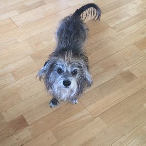 Meet your Posher, Amber